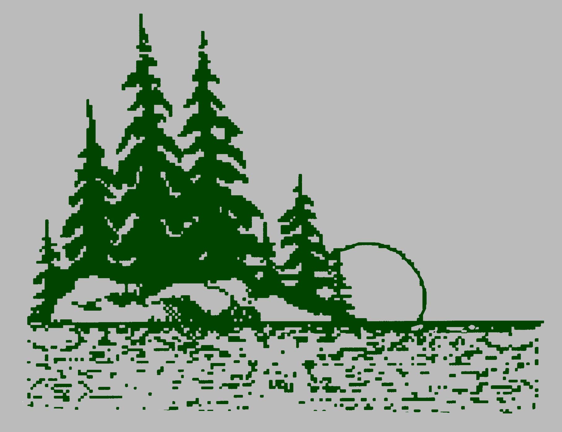 Northwatch Forest Project